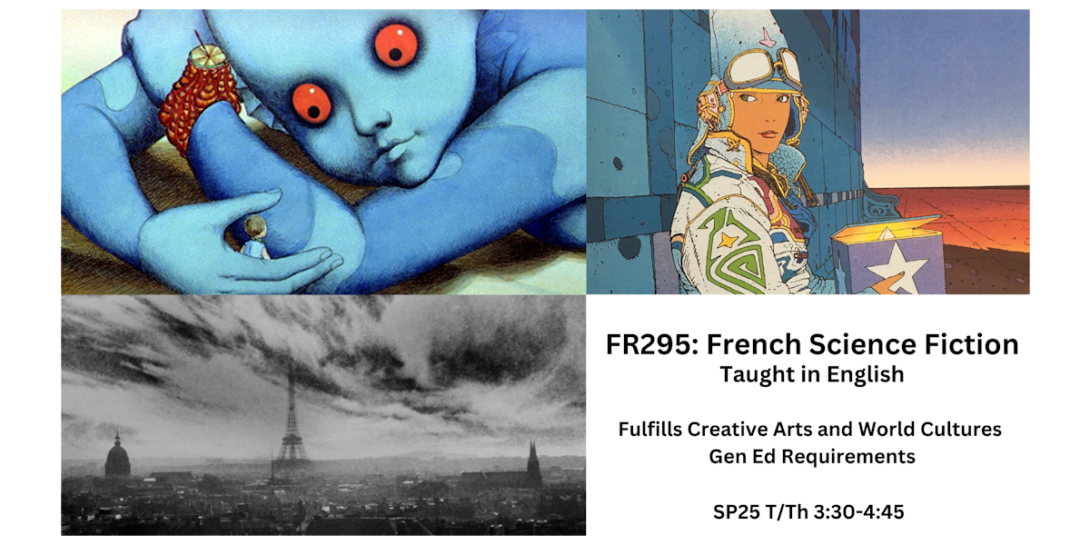 French 295 course flyer